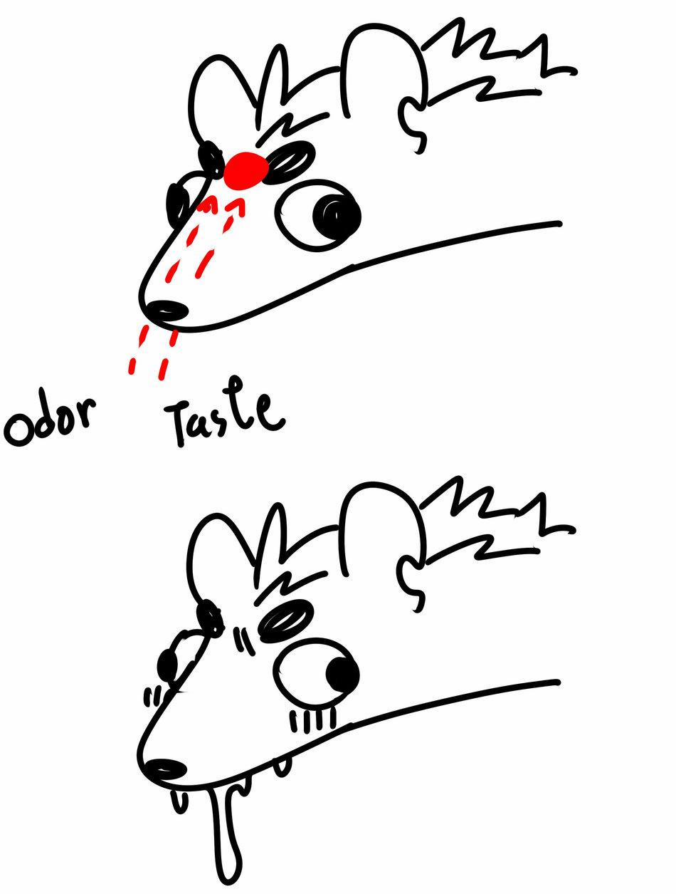 Oneshot Nhân Thú Mặn Mòi 22 trang 33