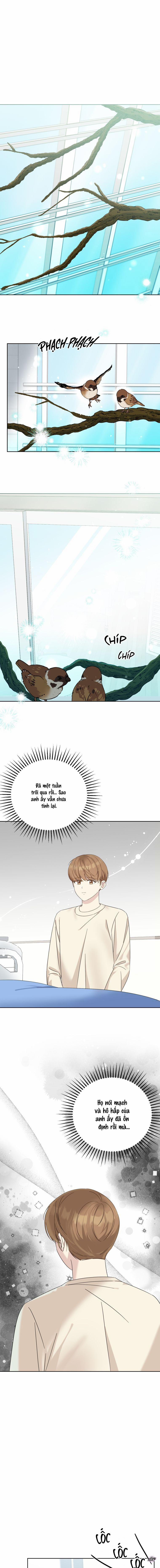 Ông Bố Yandere Bị Trêu Ghẹo 70 trang 0