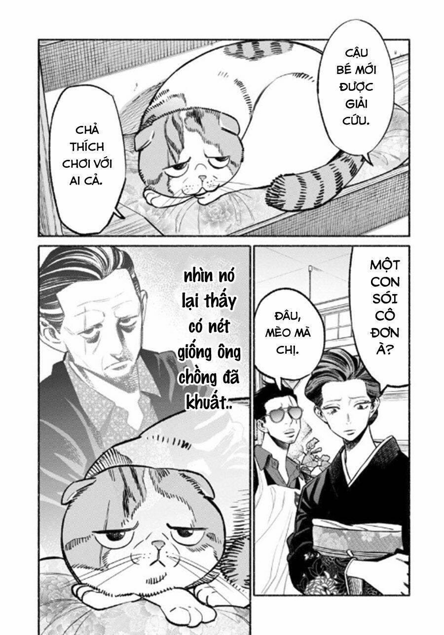 Ông Chồng Yakuza Nội Trợ 55 trang 10