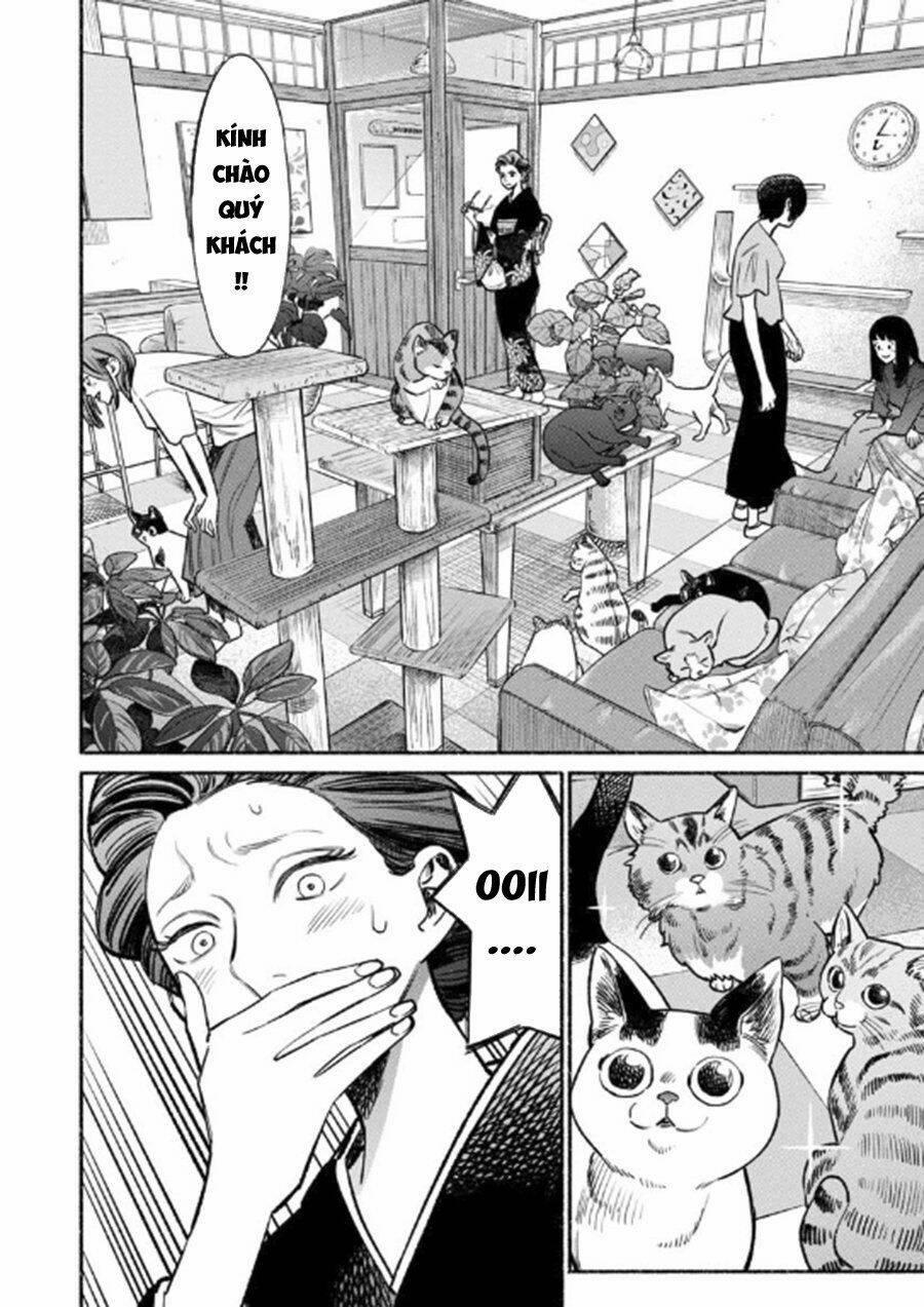 Ông Chồng Yakuza Nội Trợ 55 trang 3