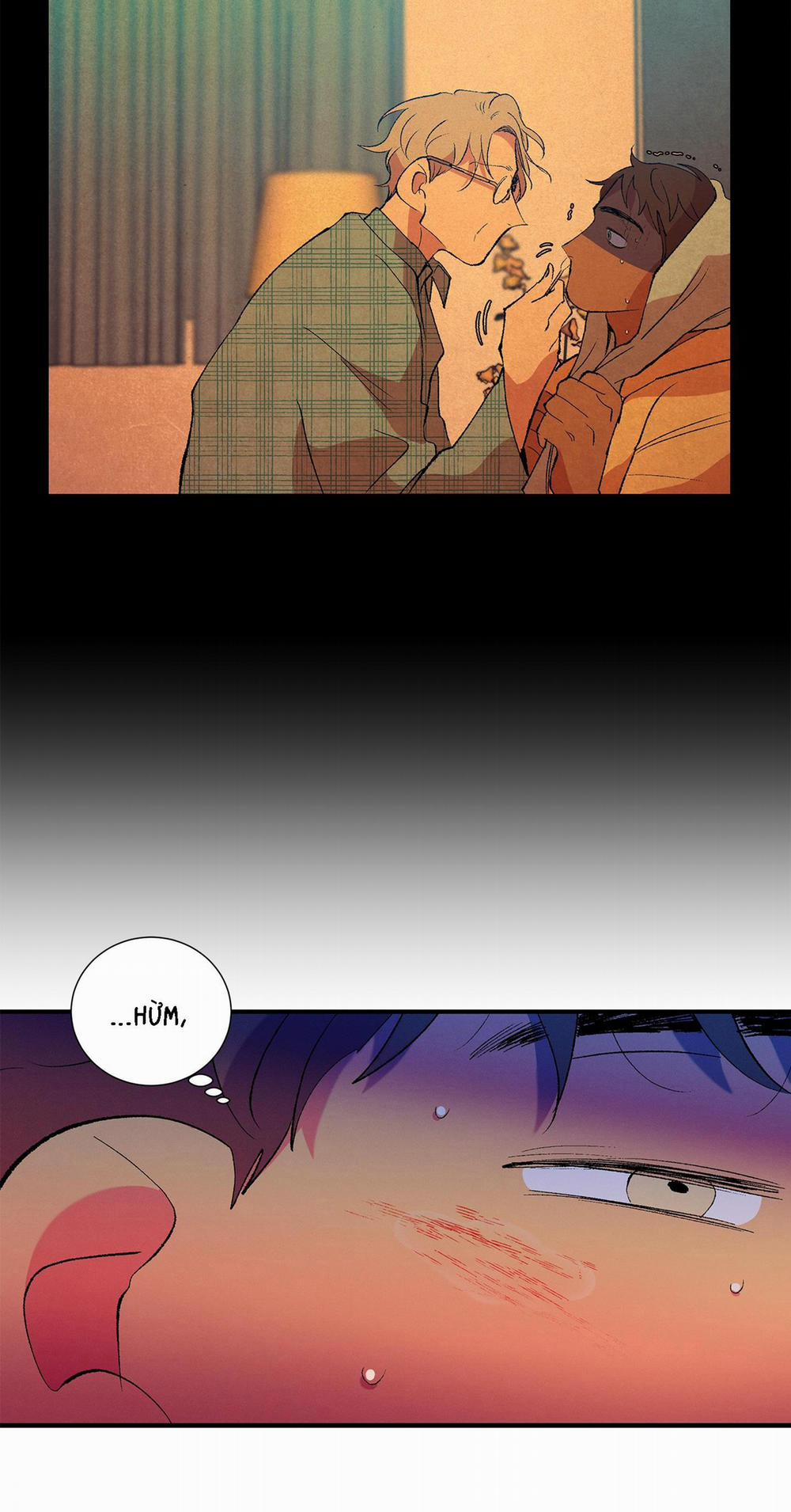 Ông Chú Bên Cửa Sổ 11 trang 14