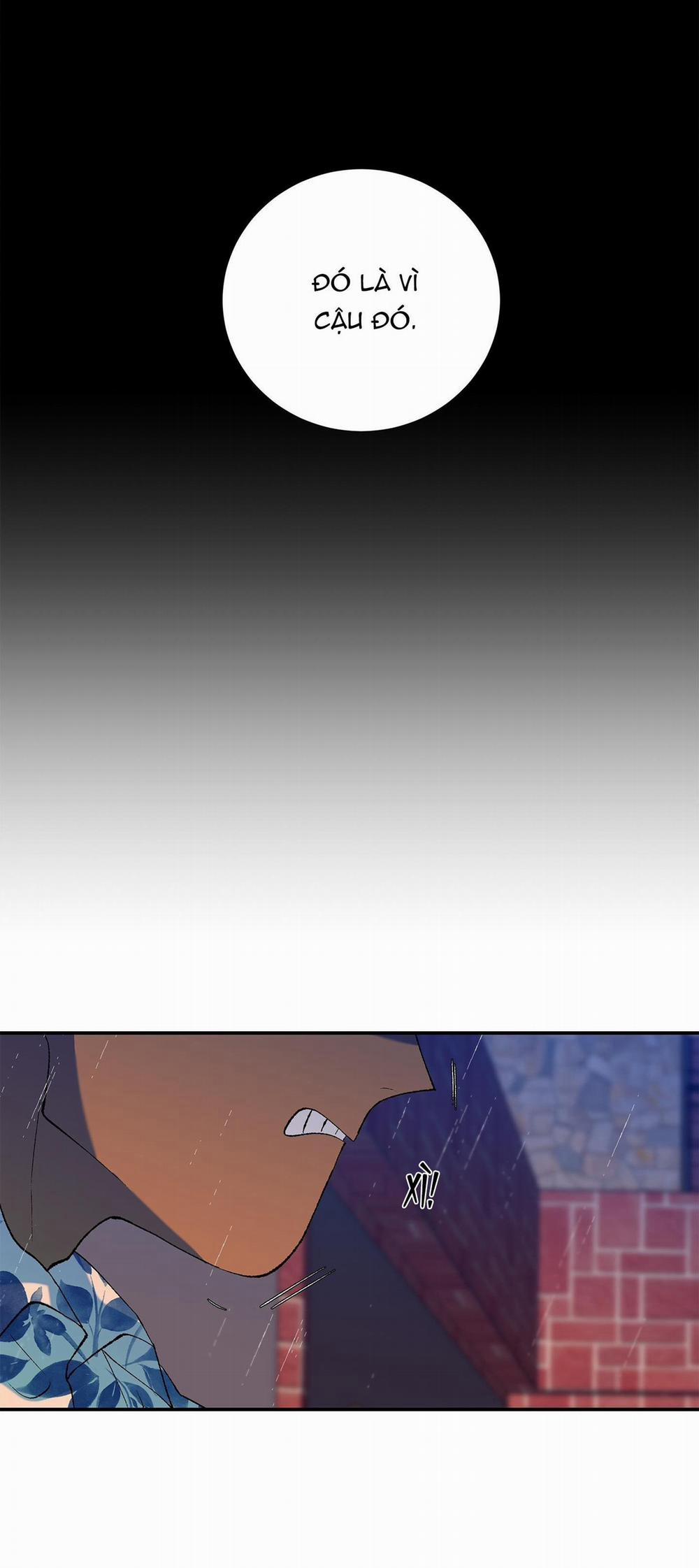 Ông Chú Bên Cửa Sổ 40 trang 15