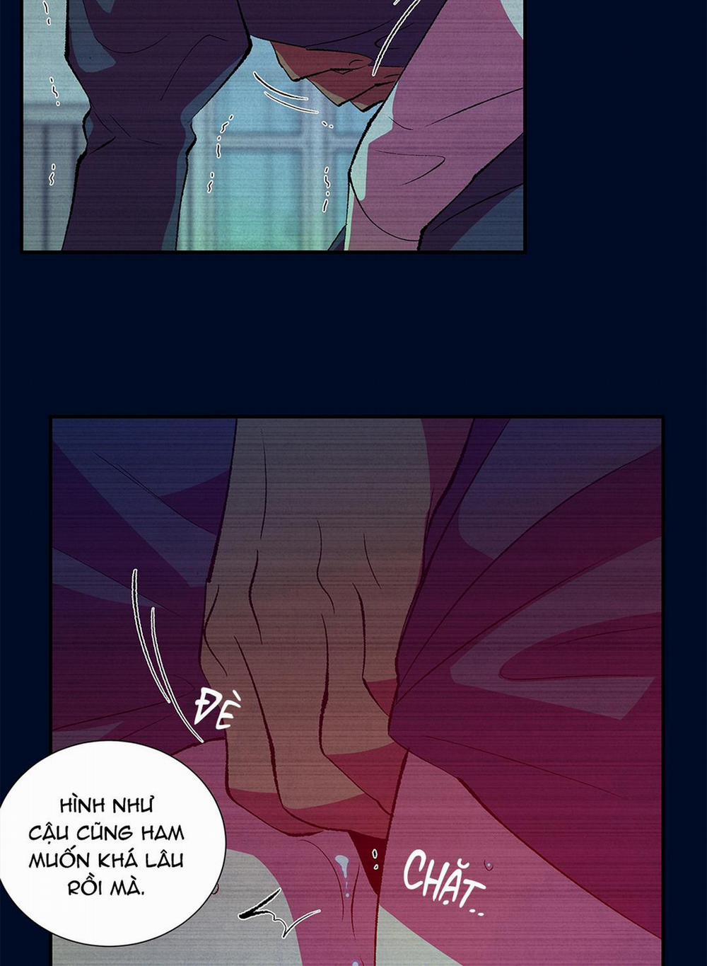 Ông Chú Bên Cửa Sổ 8 trang 10