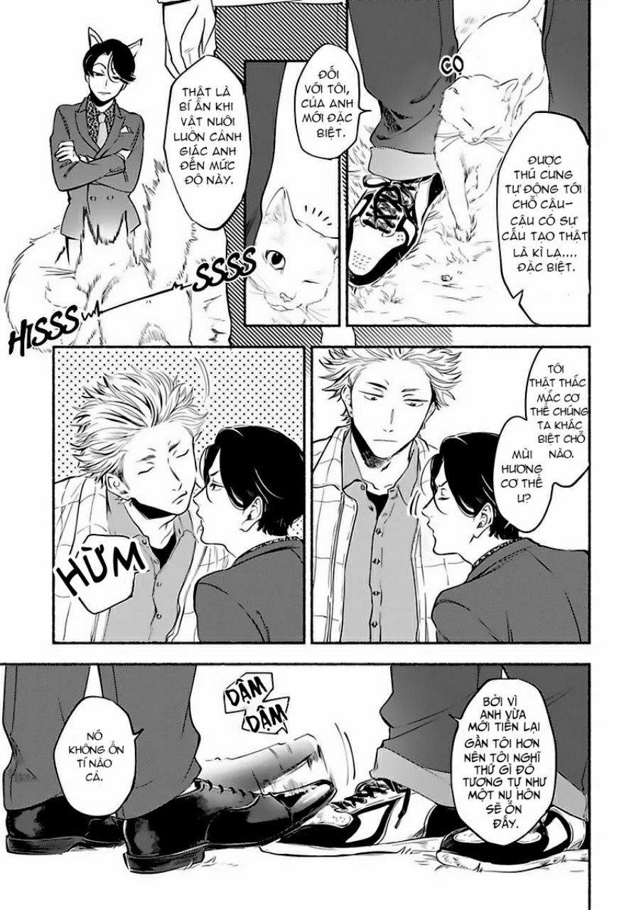 Ông chủ của Văn Phòng Thám Tử (Thú Cưng) 1 trang 10