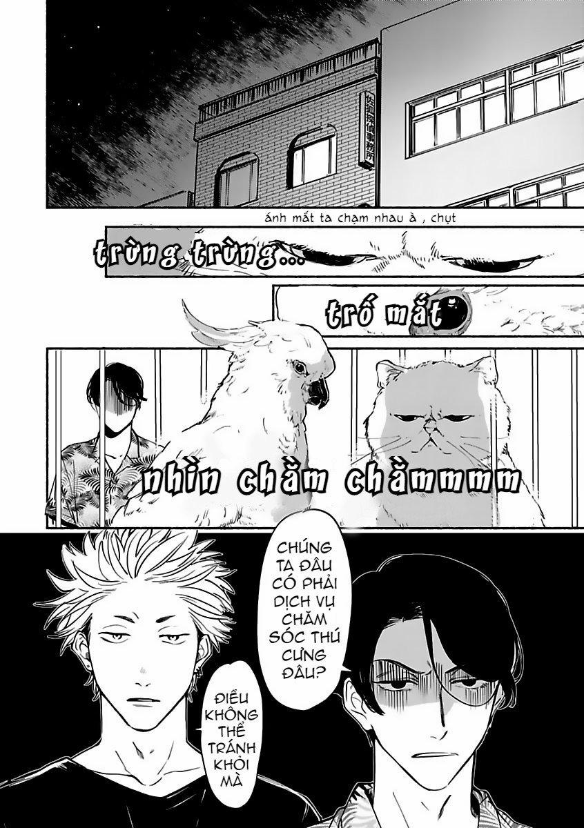 Ông chủ của Văn Phòng Thám Tử (Thú Cưng) 2 trang 21