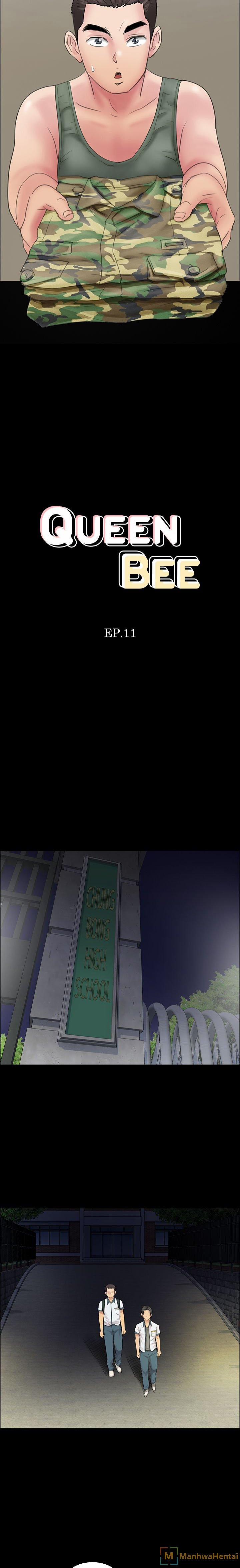 Ong Chúa (Queen Bee) 11 trang 1