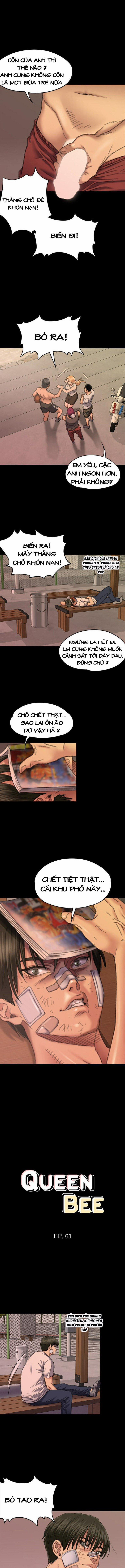 Ong Chúa (Queen Bee) 61 trang 1