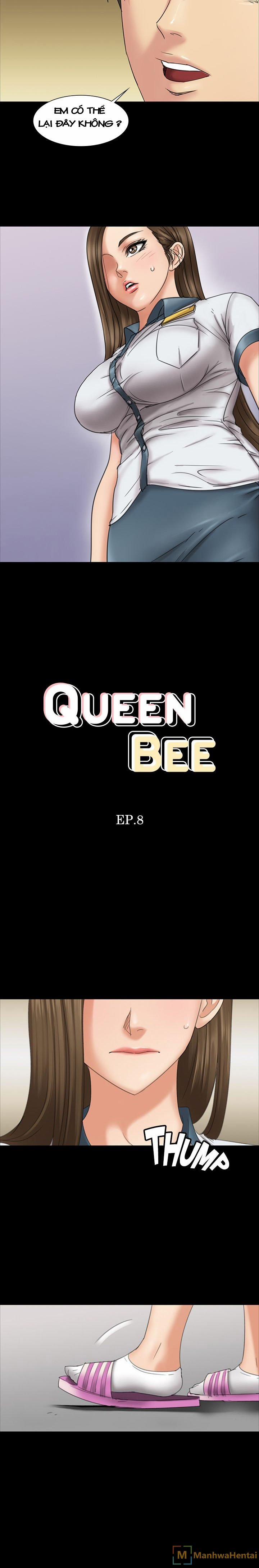 Ong Chúa (Queen Bee) 8 trang 1