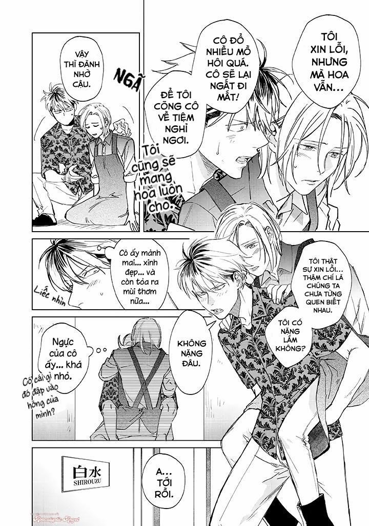 Ong Mật Và Tía Tô Đất 1 trang 12