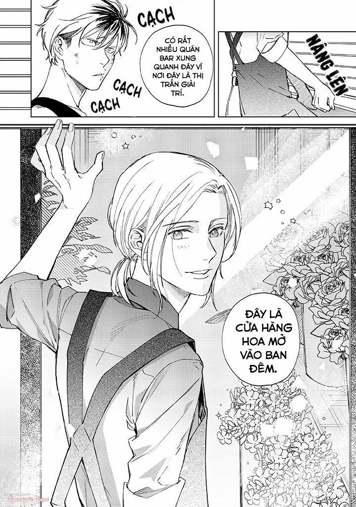 Ong Mật Và Tía Tô Đất 1 trang 18