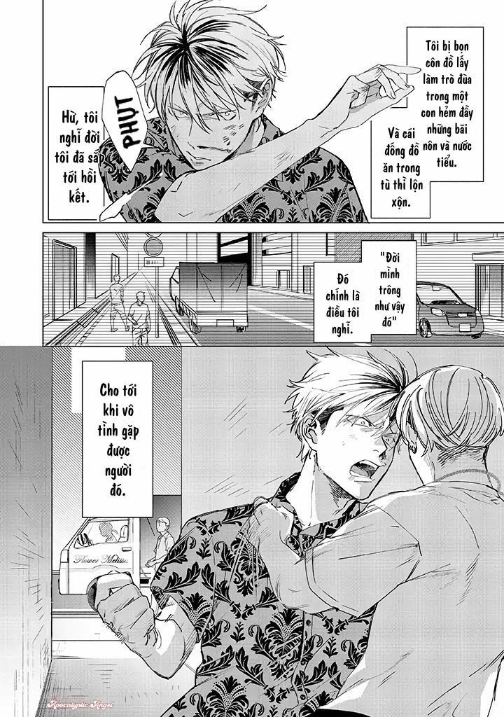 Ong Mật Và Tía Tô Đất 1 trang 2