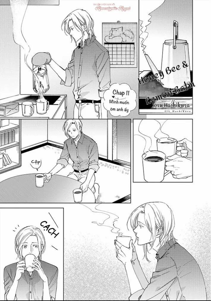 Ong Mật Và Tía Tô Đất 11 trang 1