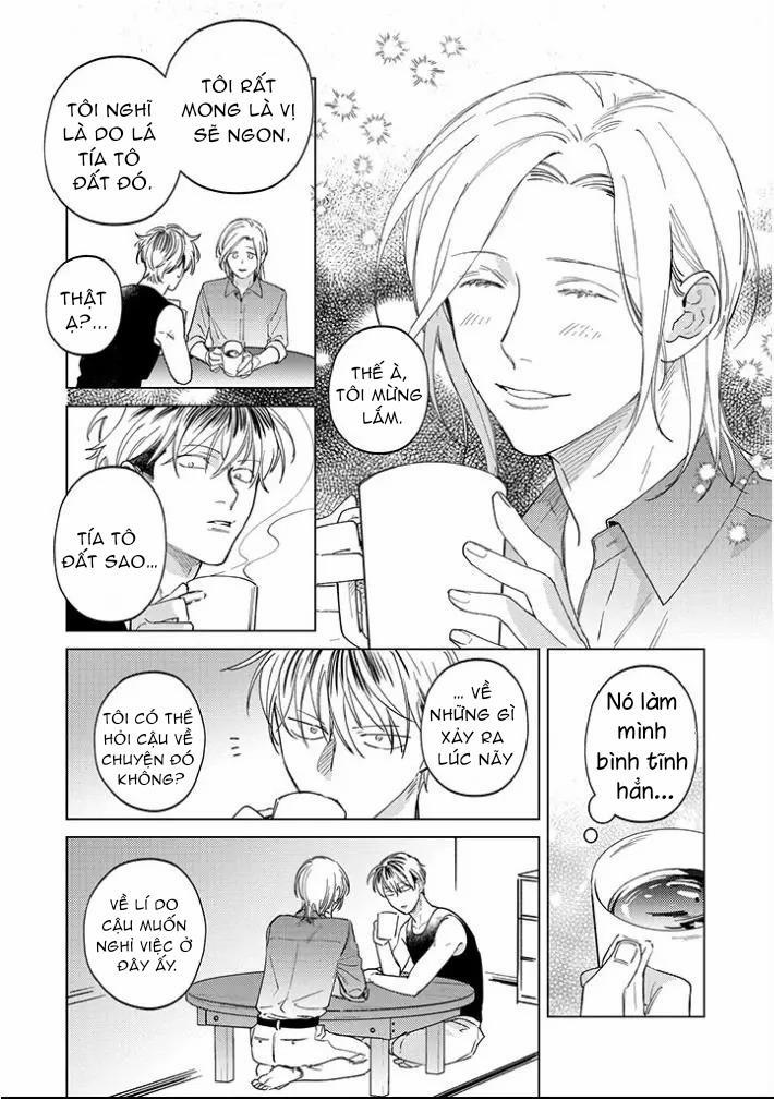 Ong Mật Và Tía Tô Đất 11 trang 3