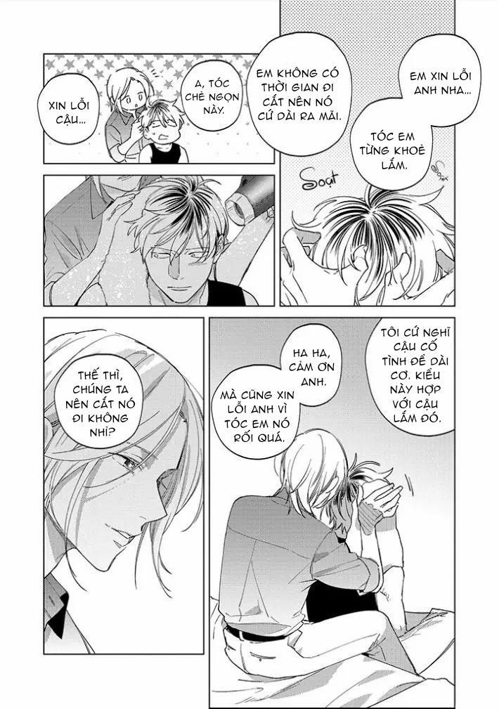 Ong Mật Và Tía Tô Đất 11 trang 7