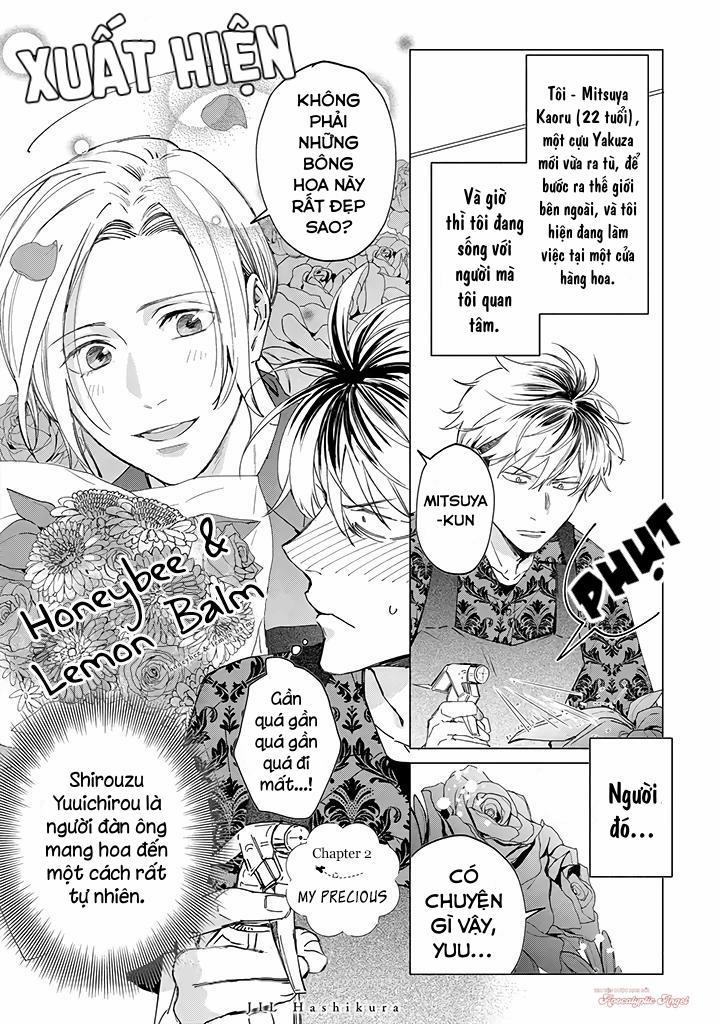 Ong Mật Và Tía Tô Đất 2 trang 1