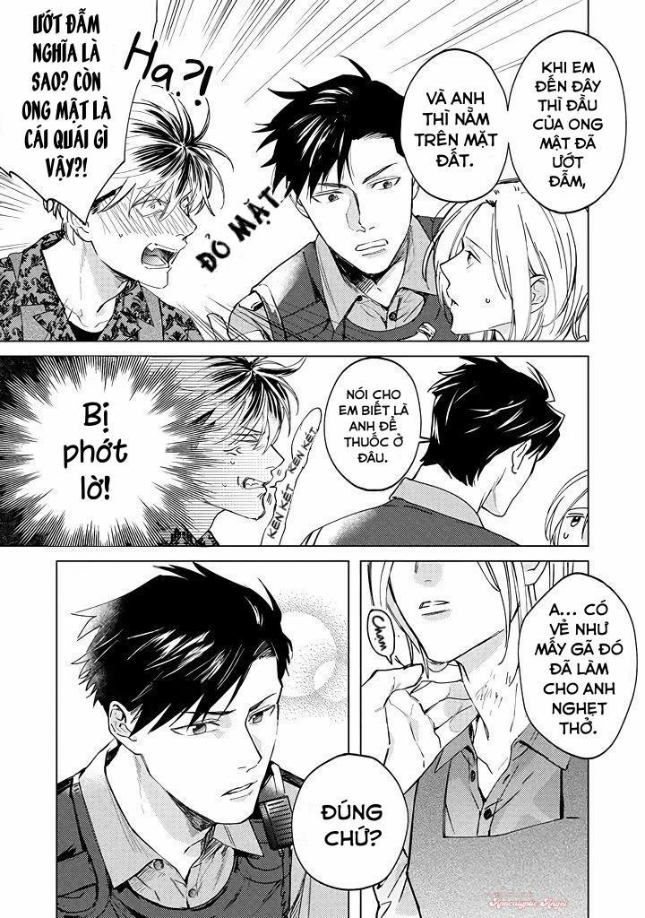 Ong Mật Và Tía Tô Đất 3 trang 3