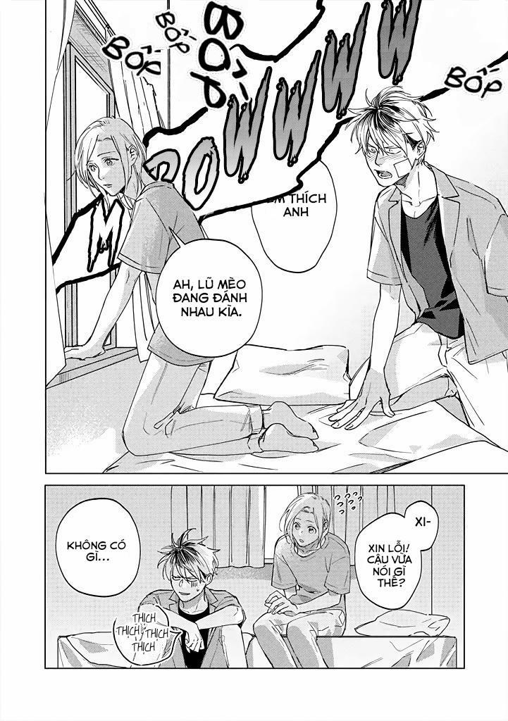 Ong Mật Và Tía Tô Đất 4 trang 22