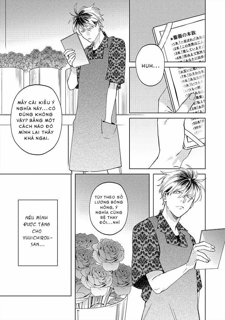 Ong Mật Và Tía Tô Đất 5 trang 11