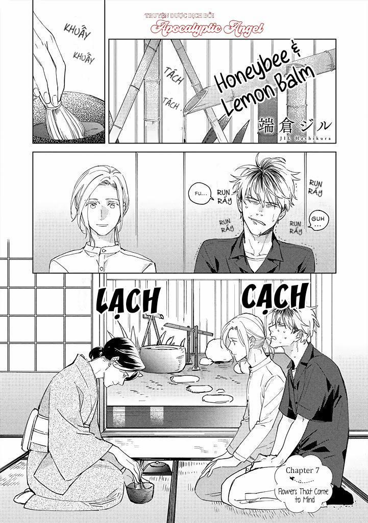 Ong Mật Và Tía Tô Đất 7 trang 1