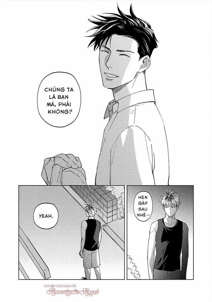 Ong Mật Và Tía Tô Đất 8 trang 13