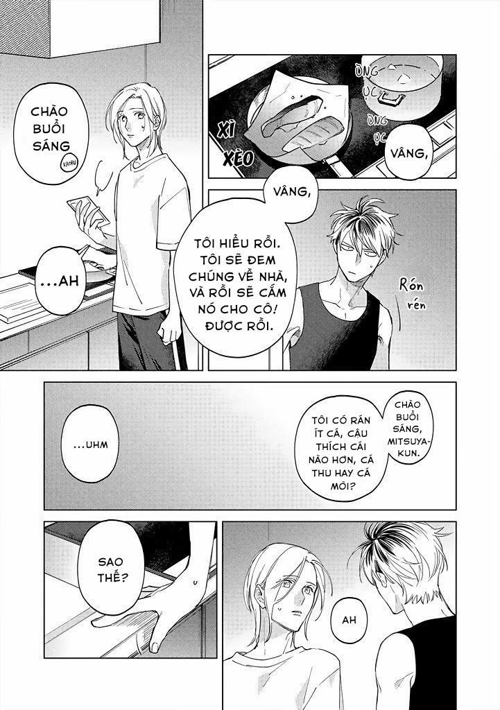 Ong Mật Và Tía Tô Đất 8 trang 17