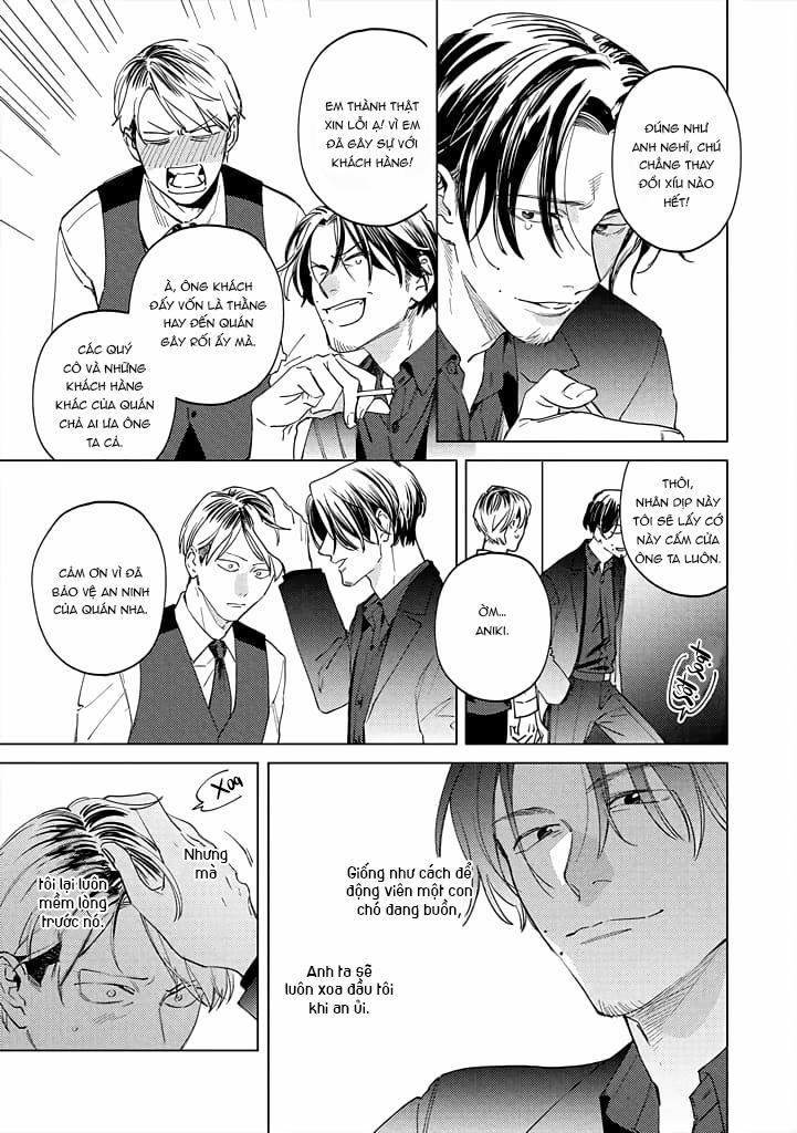 Ong Mật Và Tía Tô Đất 9 trang 13