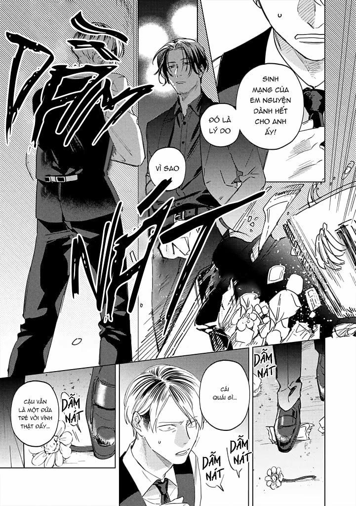 Ong Mật Và Tía Tô Đất 9 trang 19