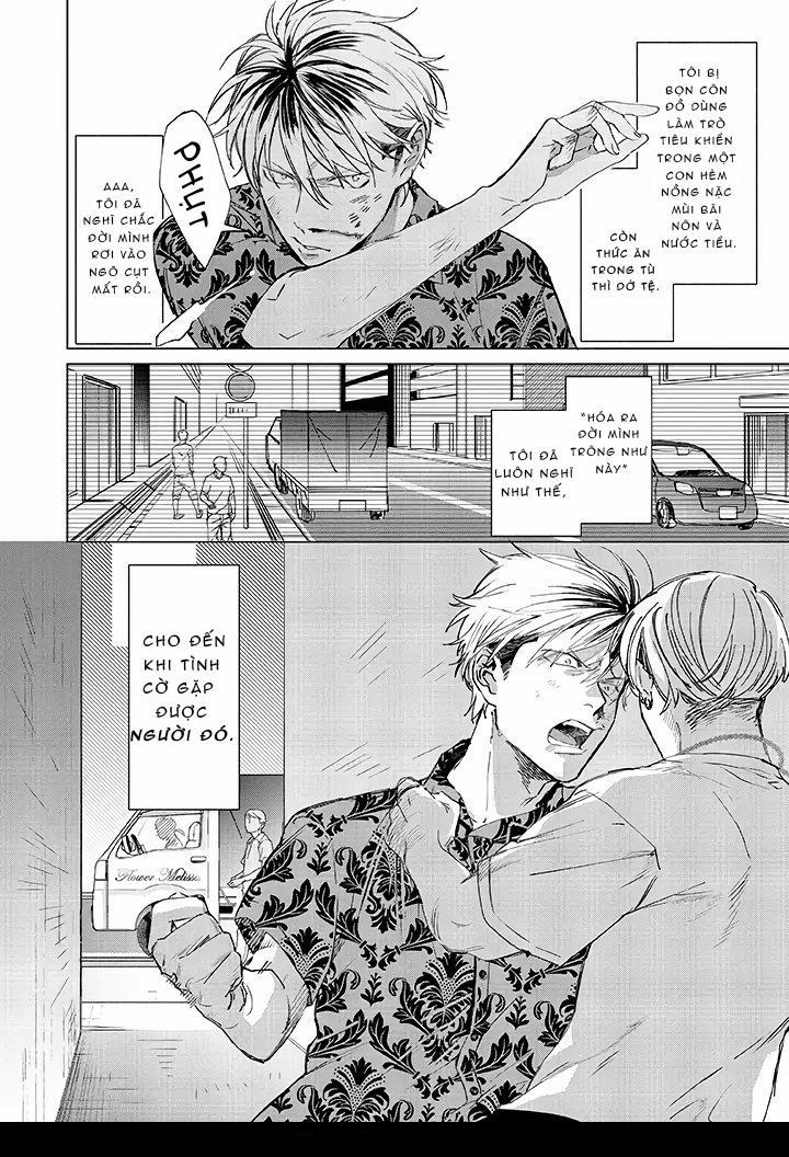 Ong Mật Và Tía Tô 1 trang 1