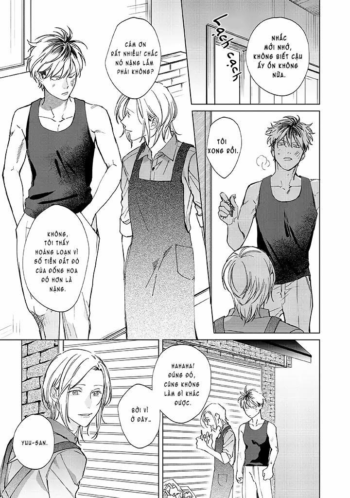 Ong Mật Và Tía Tô 1 trang 13