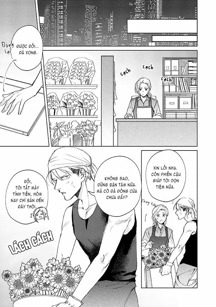 Ong Mật Và Tía Tô 1 trang 17