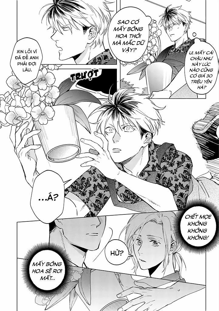 Ong Mật Và Tía Tô 2 trang 7