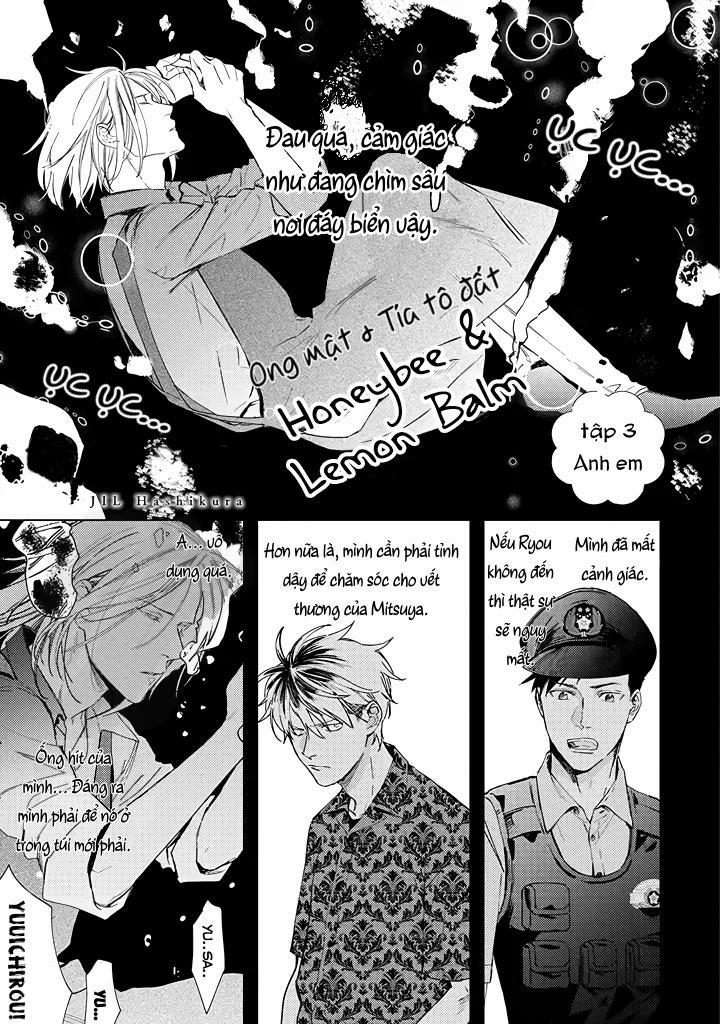 Ong Mật Và Tía Tô 3 trang 0