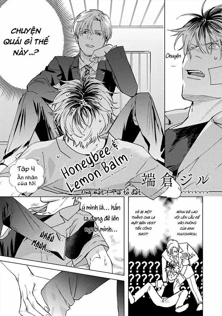 Ong Mật Và Tía Tô 4 trang 0