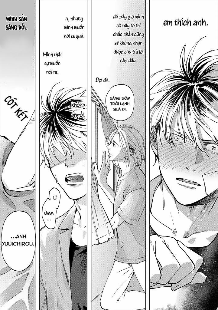 Ong Mật Và Tía Tô 4 trang 20