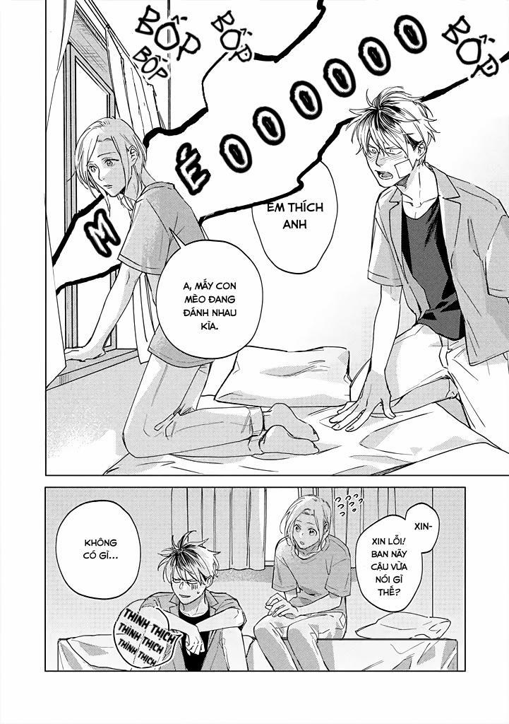 Ong Mật Và Tía Tô 4 trang 21