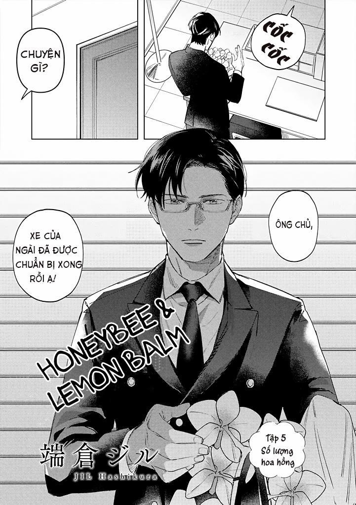 Ong Mật Và Tía Tô 5 trang 0