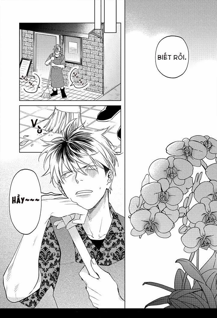 Ong Mật Và Tía Tô 5 trang 1