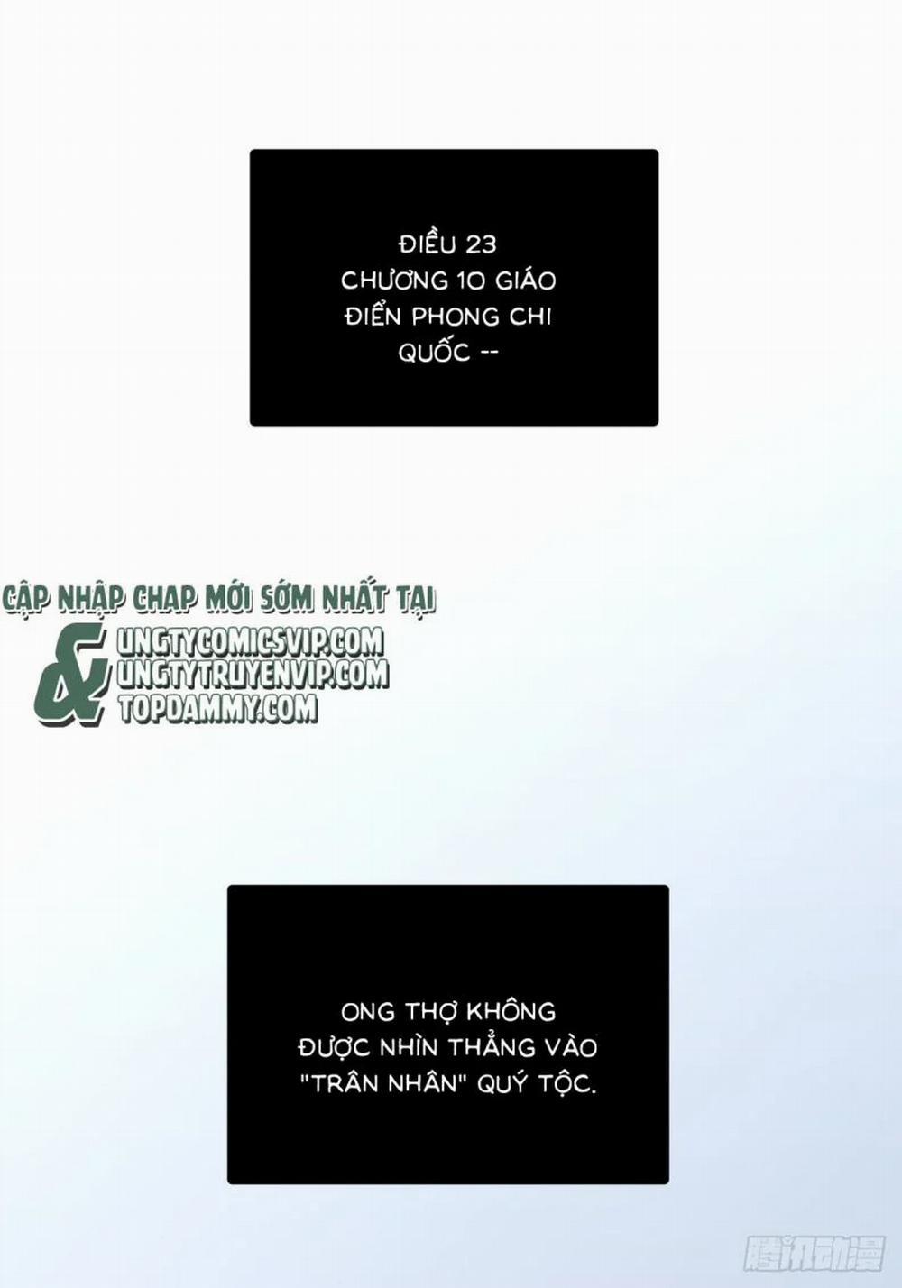 Ong Thợ 10 trang 1