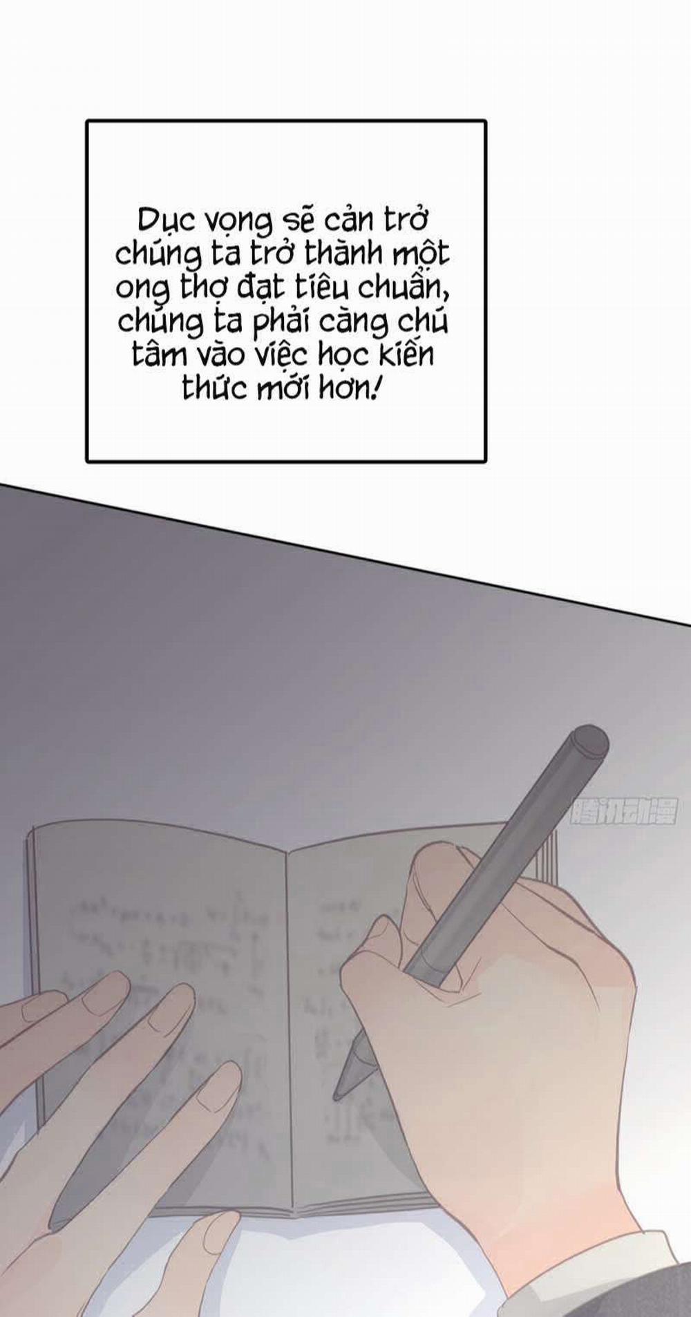 Ong Thợ 15 trang 36