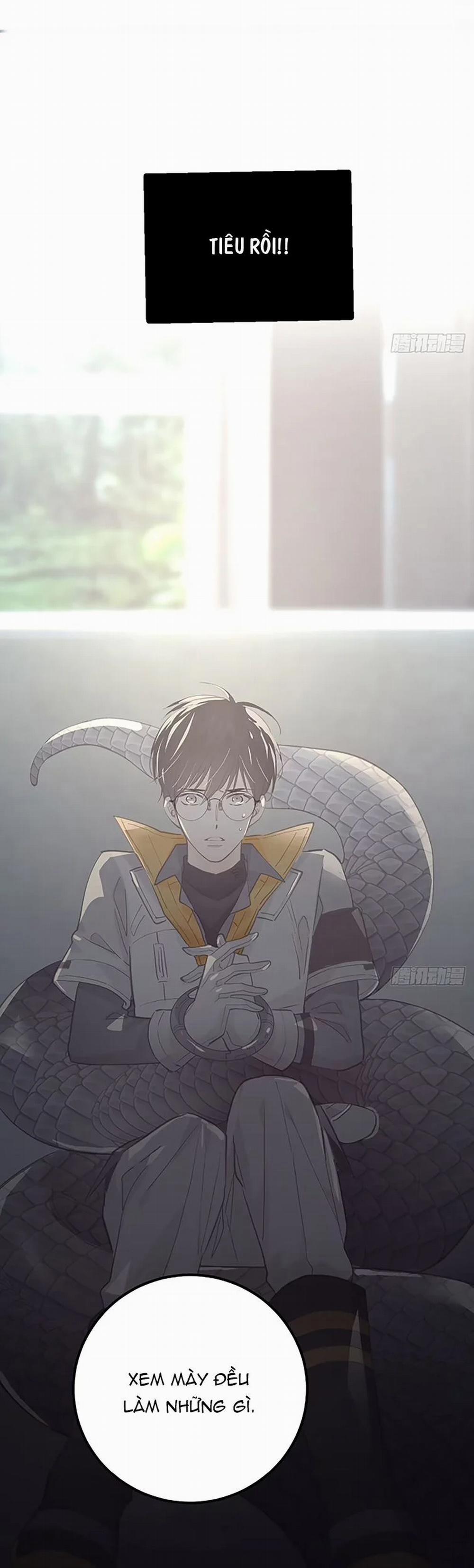 Ong Thợ 19 trang 4