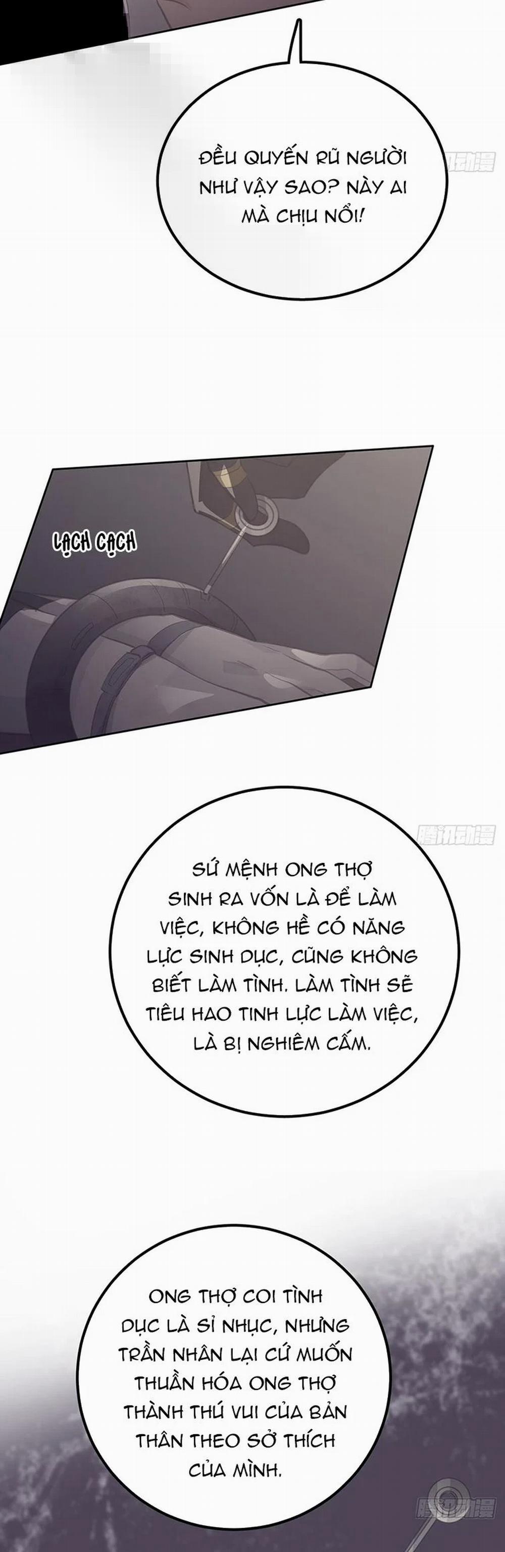 Ong Thợ 20 trang 8