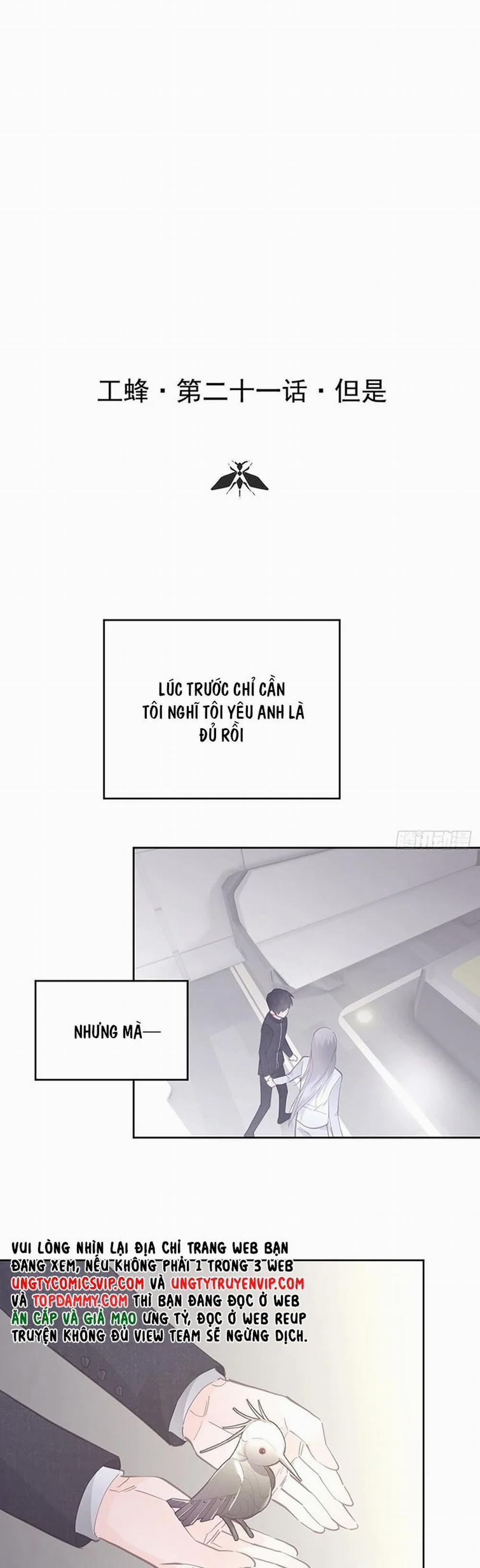 Ong Thợ 21 trang 1