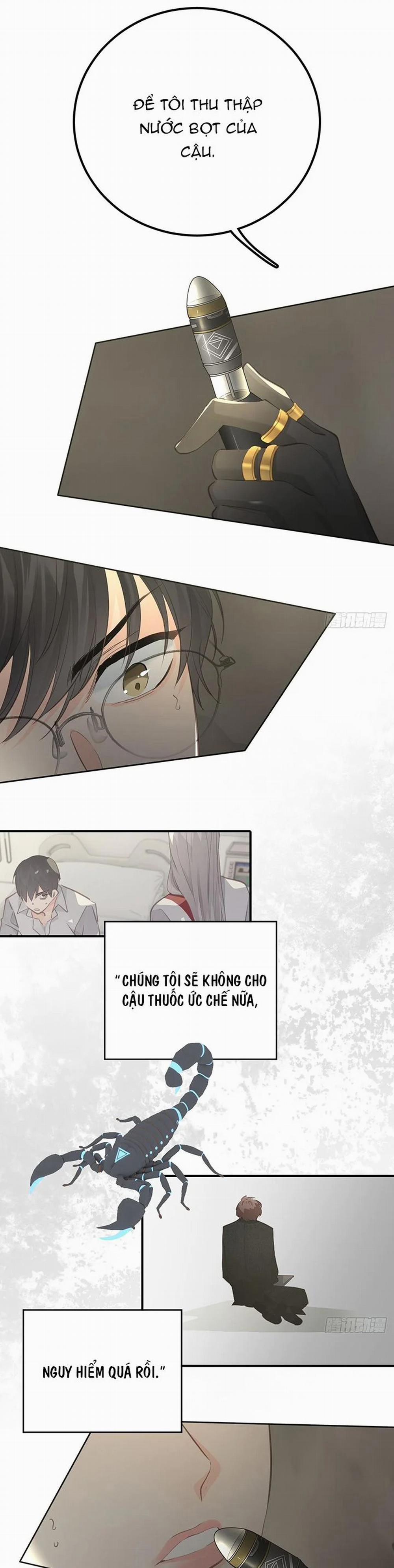 Ong Thợ 30 trang 13