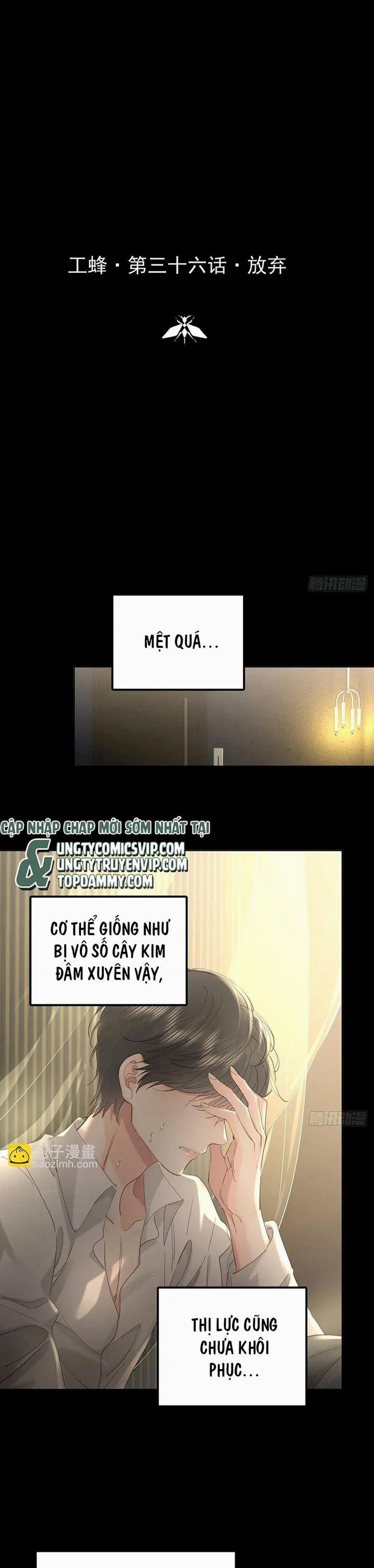 Ong Thợ 36 trang 1