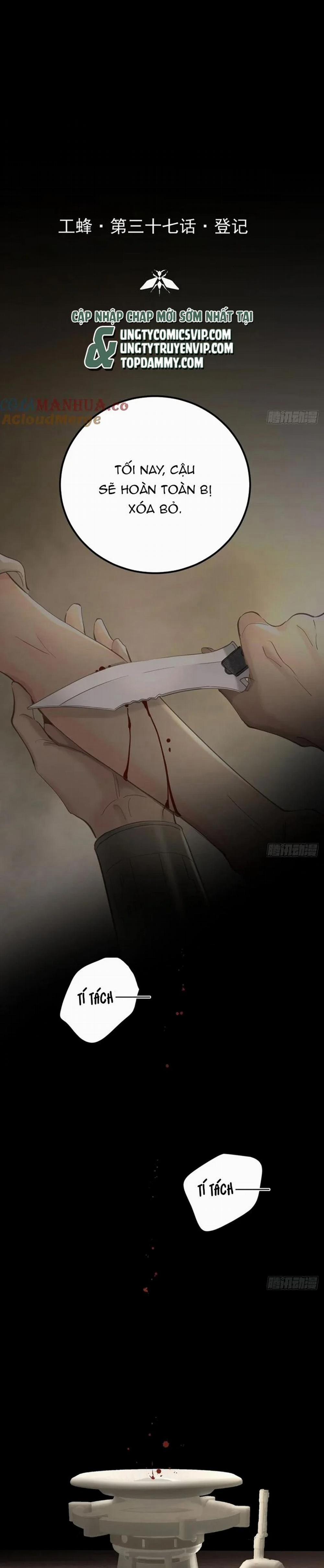 Ong Thợ 38 trang 1