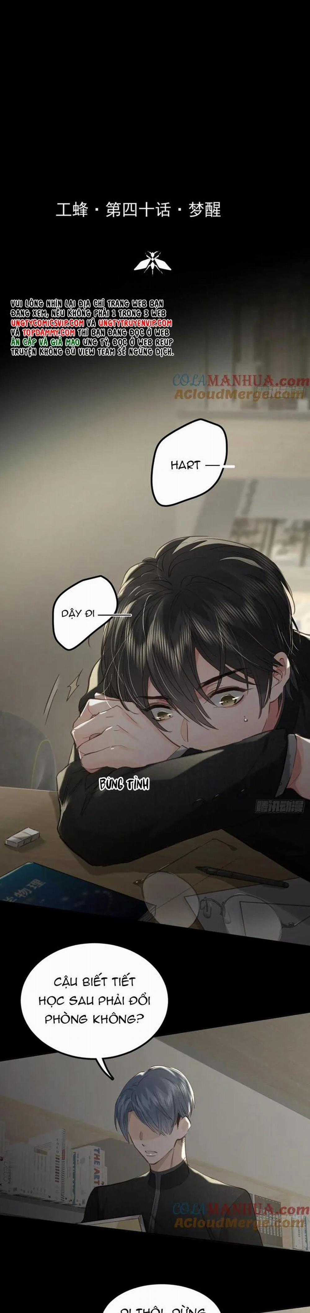 Ong Thợ 40 trang 1