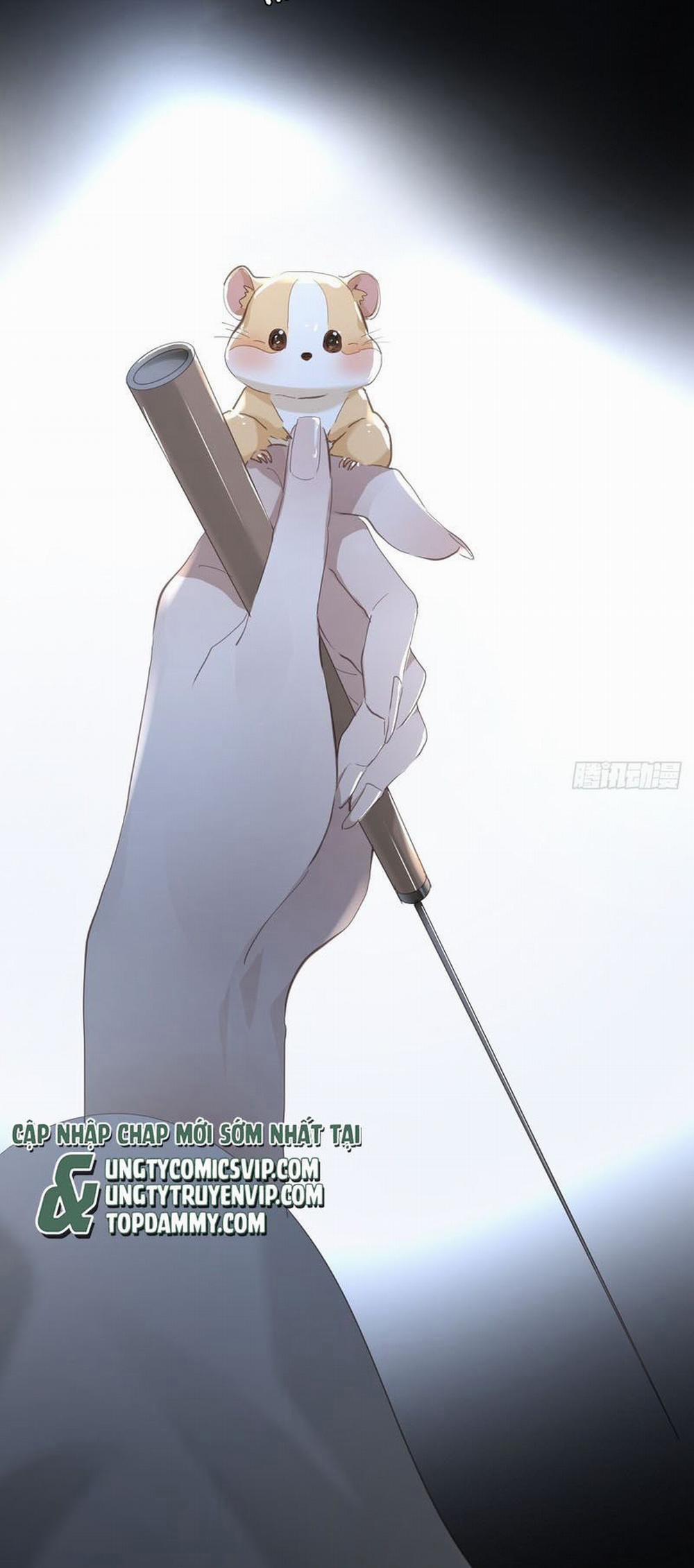 Ong Thợ 43 trang 11