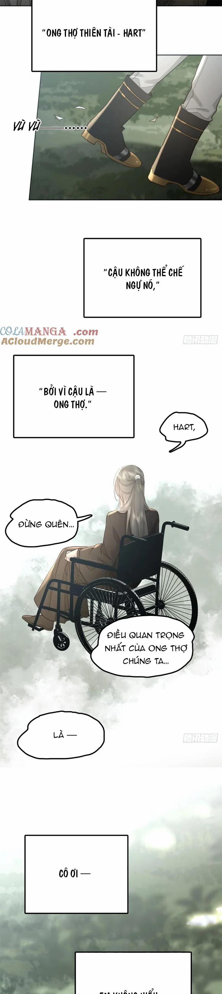 Ong Thợ 51 trang 19