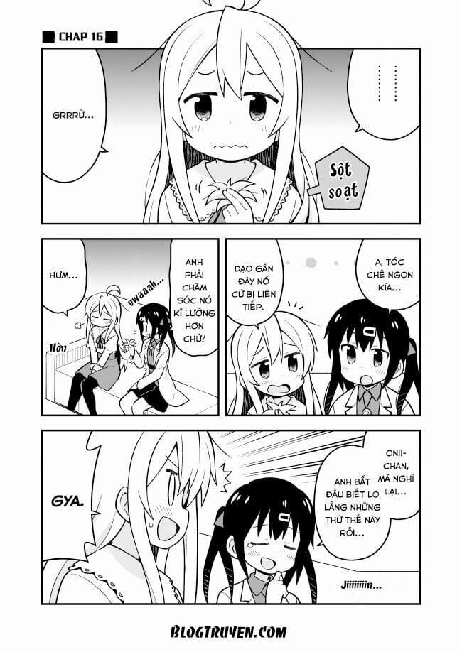 Onii-Chan Wa Oshimai 16 trang 1