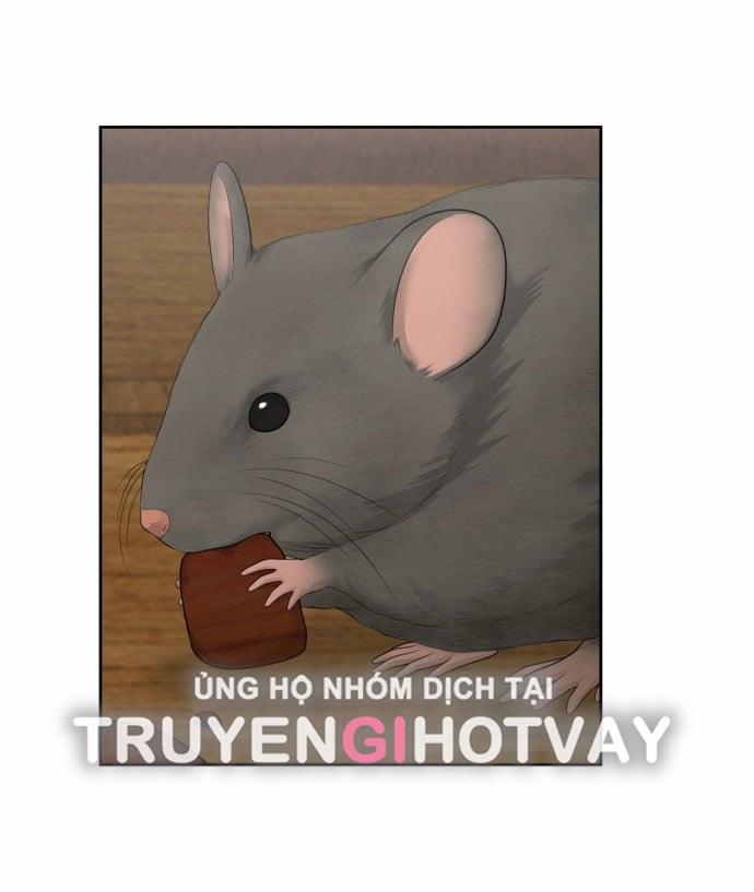 Only Hope - Hy Vọng Duy Nhất 56.1 trang 12